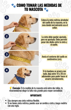 Collar Bandana Pañuelo Para Perros Viva Chile Ajustable