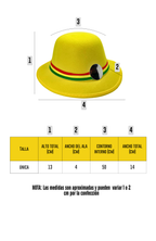 Disfraz Traje Nortino Baile Tipico Danzas Y Fiestas Patrias