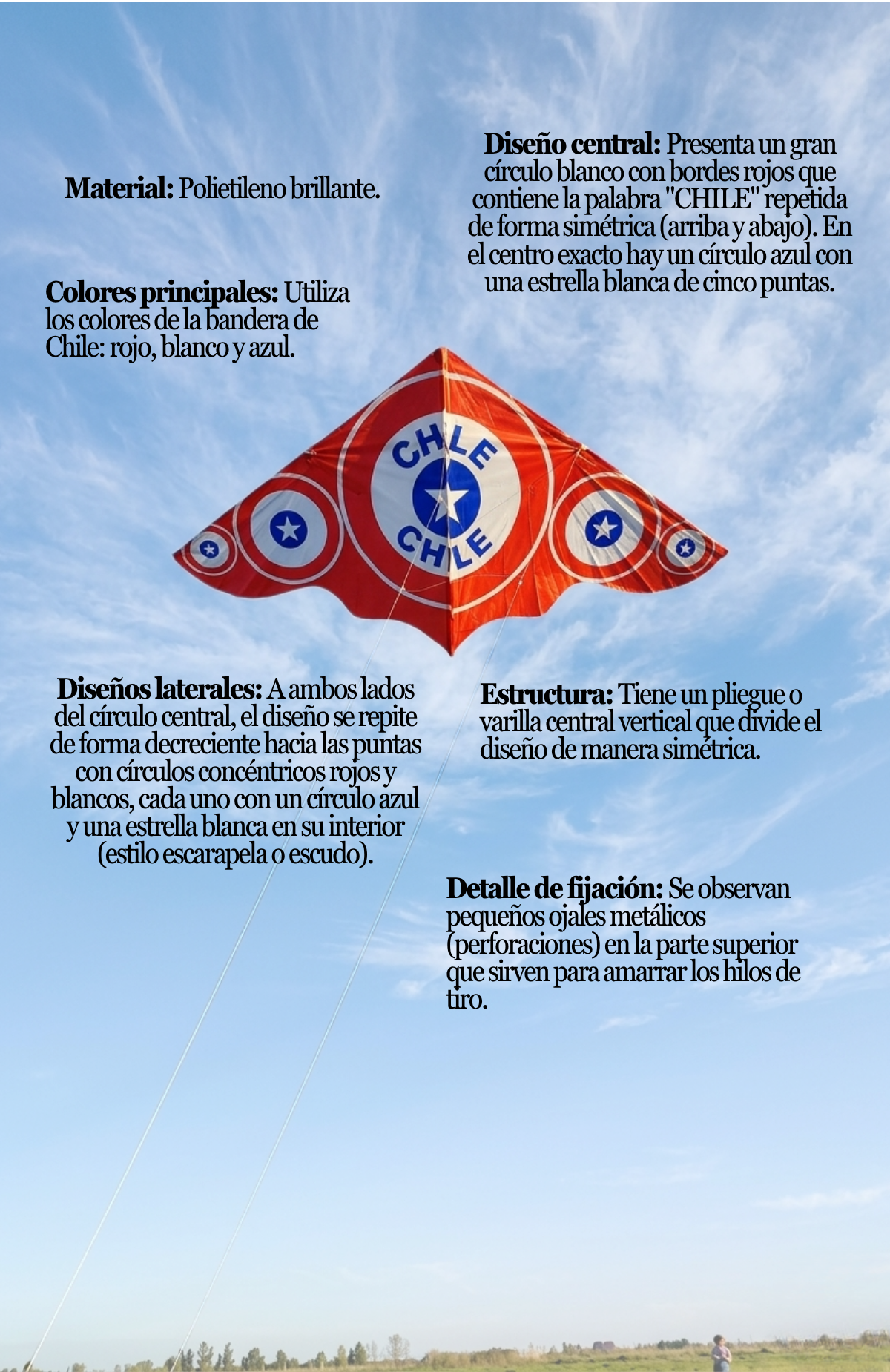 Pack 6 Cometas Bandera Chile Volantín Fiestas Patrias Chile
