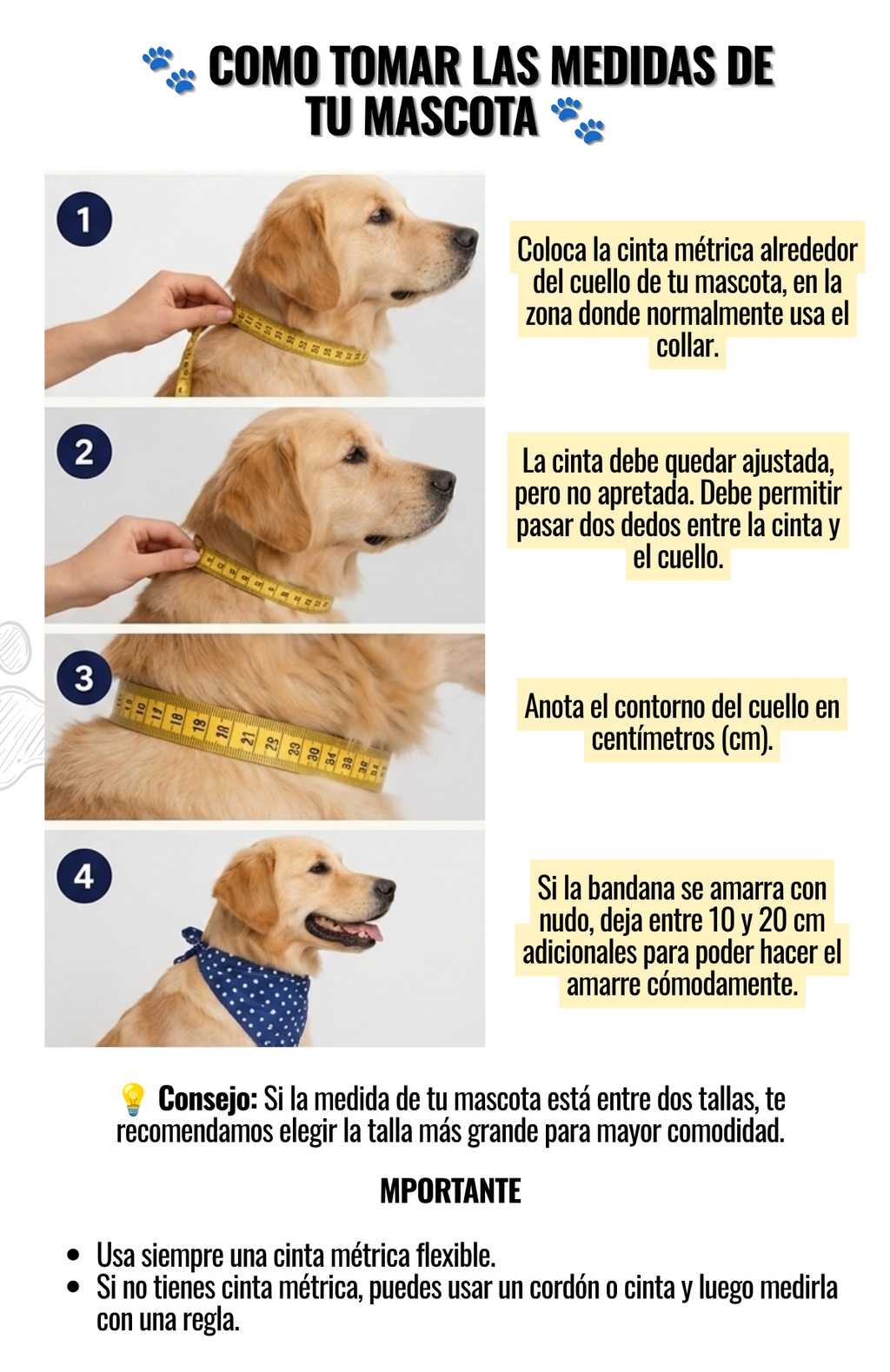 Pañuelo Collar Mascotas Estilo Traje Elegante Fechas Patrias