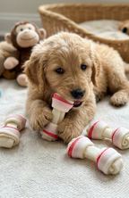 Pack 5 Huesos Anudados Mascotas Entretenimiento Y Cuidado