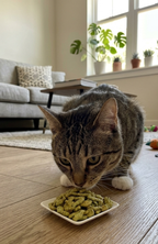 Snack Bioline Para Gato Con Catnip Y Salmón / Bacalao 80 G