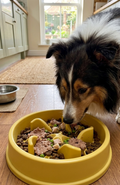 Plato Antiansiedad Estrellitas Comedero Lento Mascotas
