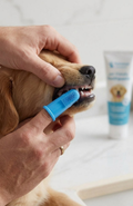 Cepillo De Dientes De Silicona De Dedal Para Perros Y Gatos (Pack x2)