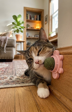 Bola Hierba Gatera Catnip Adhesiva Giratoria Gatos