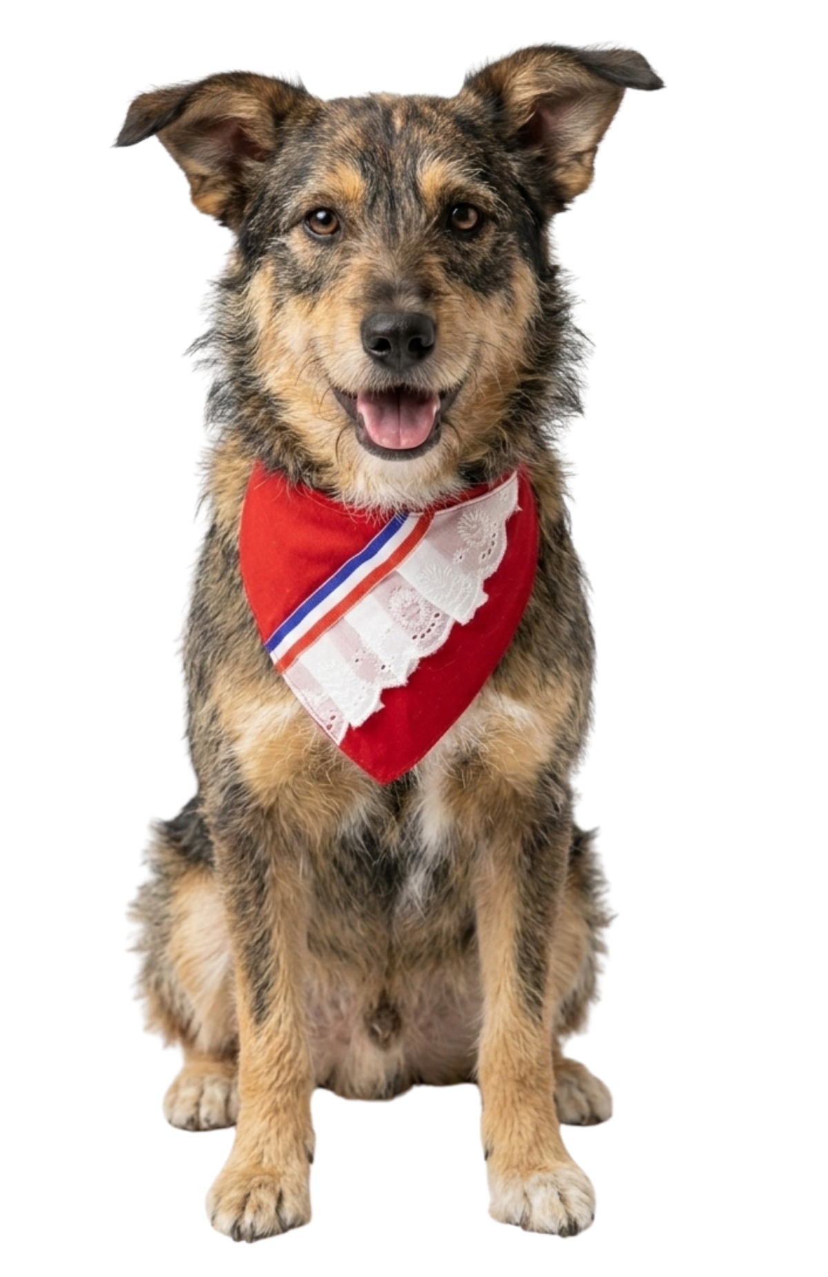 Collar Bandana Para Perros Estilo Chileno Fiestas Patrias