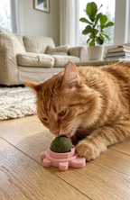 Bola Hierba Gatera Catnip Adhesiva Giratoria Gatos
