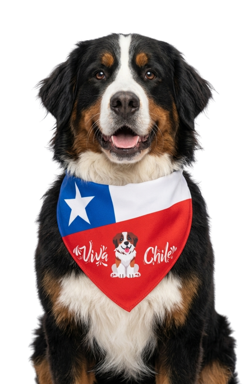Collar Bandana Pañuelo Para Perros Viva Chile Ajustable