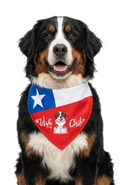 Collar Bandana Pañuelo Para Perros Viva Chile Ajustable