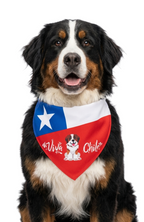 Collar Bandana Pañuelo Para Perros Viva Chile Ajustable