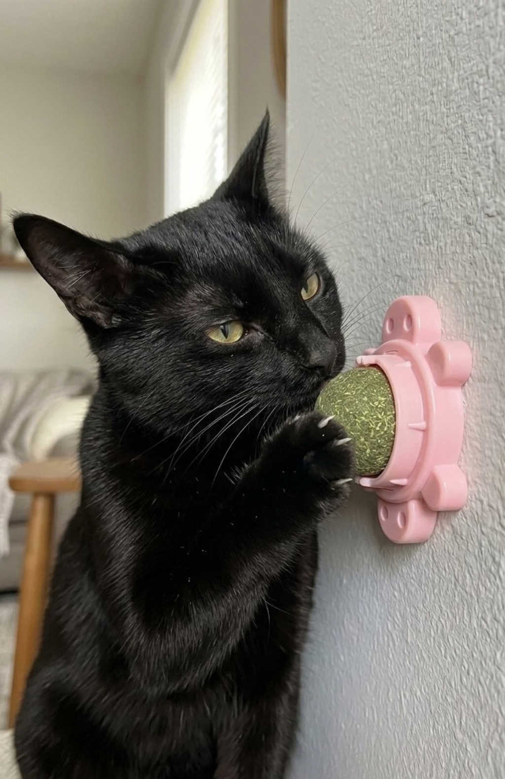 Bola Hierba Gatera Catnip Adhesiva Giratoria Gatos
