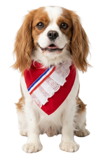 Collar Bandana Para Perros Estilo Chileno Fiestas Patrias