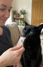 Pack 6 Snack Líquido Gatos Bioline Sabor Bonito (atún) 15 G