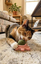 Bola Hierba Gatera Catnip Adhesiva Giratoria Gatos