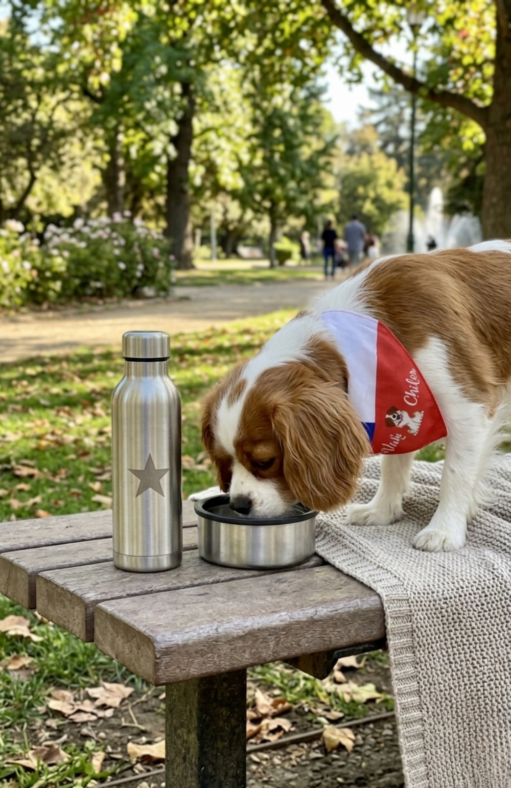 Collar Bandana Pañuelo Para Perros Viva Chile Ajustable