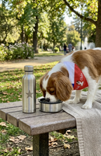 Collar Bandana Pañuelo Para Perros Viva Chile Ajustable