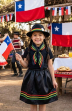 Disfraz Traje Nortino Baile Tipico Danzas Y Fiestas Patrias