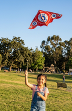 Cometa Bandera Chile Volantín Fiestas Patrias Chilena