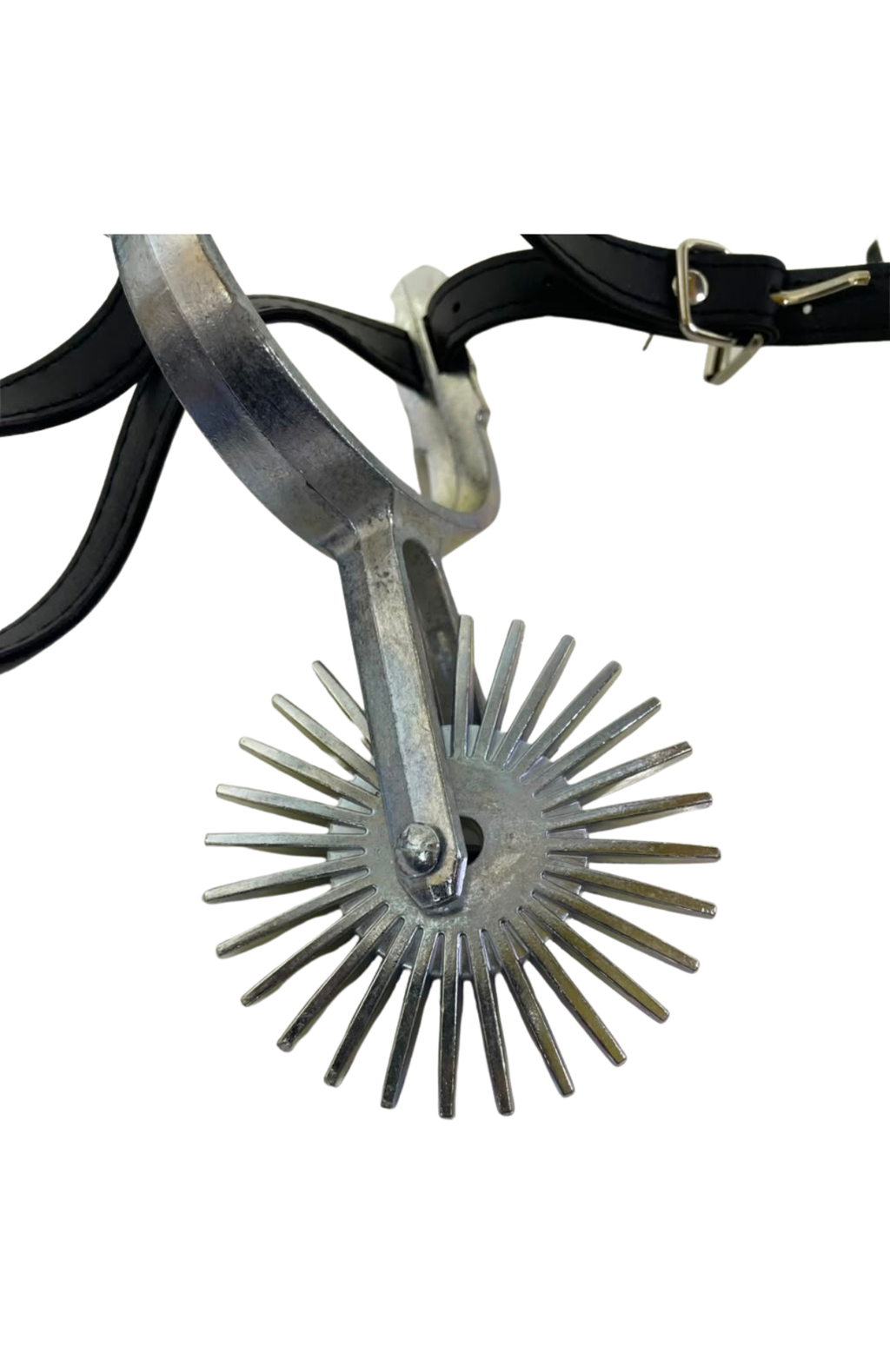 Par De Espuelas Chilenas Con Rodaja De 8cm Y Correas Cuerina