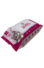 Toallitas Húmedas Gatos PETGAGA 80 Unidades Aloe Vera