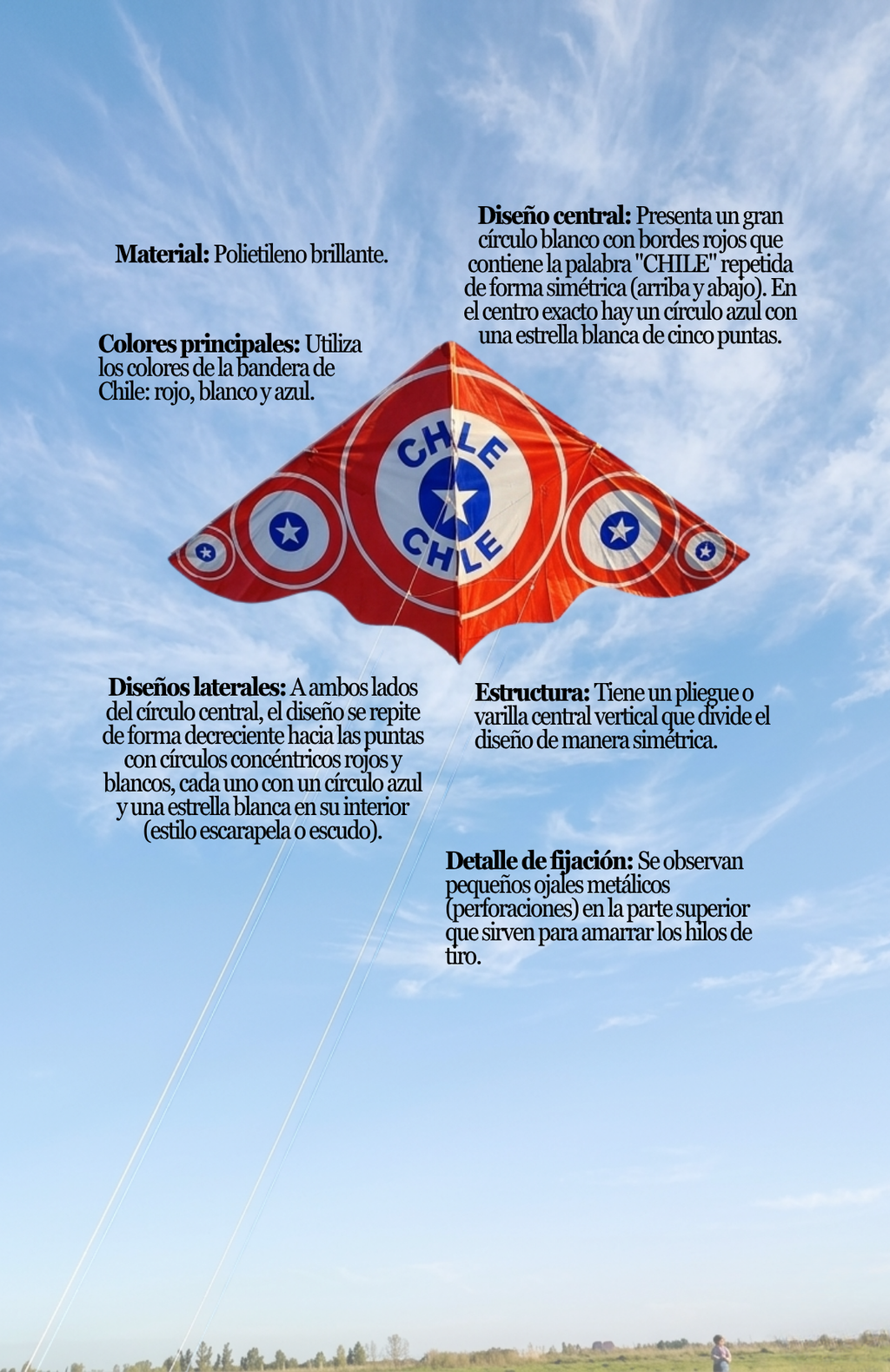 Cometa Bandera Chile Volantín Fiestas Patrias Chilena