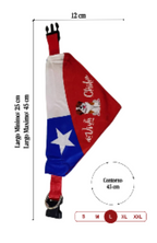 Collar Bandana Pañuelo Para Perros Viva Chile Ajustable