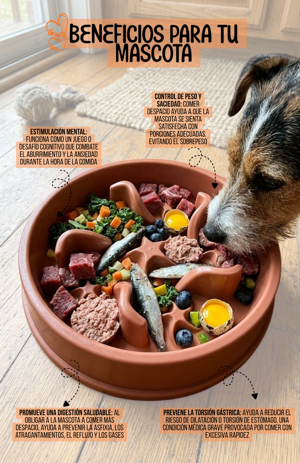 Plato Antiansiedad Estrellitas Comedero Lento Mascotas