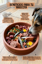 Plato Antiansiedad Estrellitas Comedero Lento Mascotas