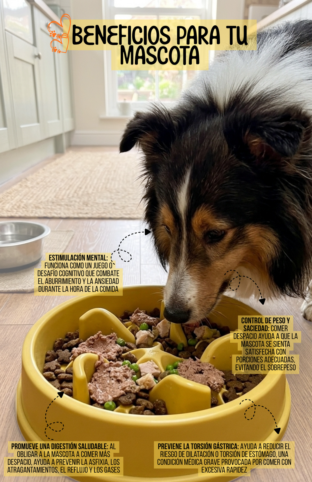 Plato Antiansiedad Estrellitas Comedero Lento Mascotas