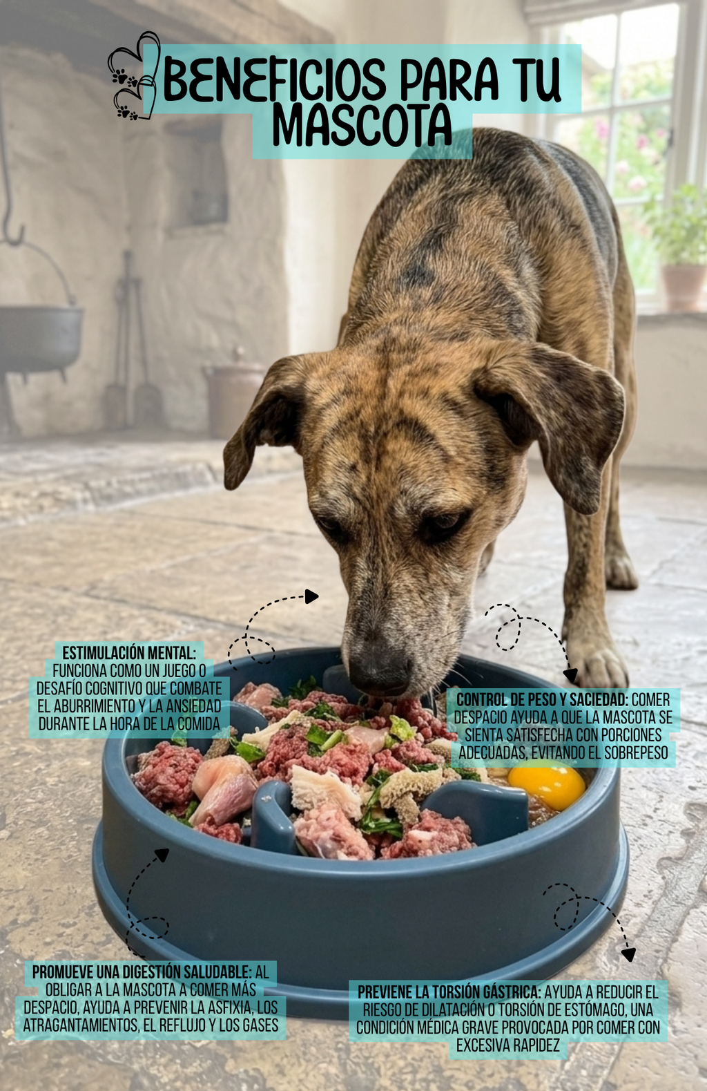Plato Antiansiedad Estrellitas Comedero Lento Mascotas
