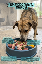 Plato Antiansiedad Estrellitas Comedero Lento Mascotas