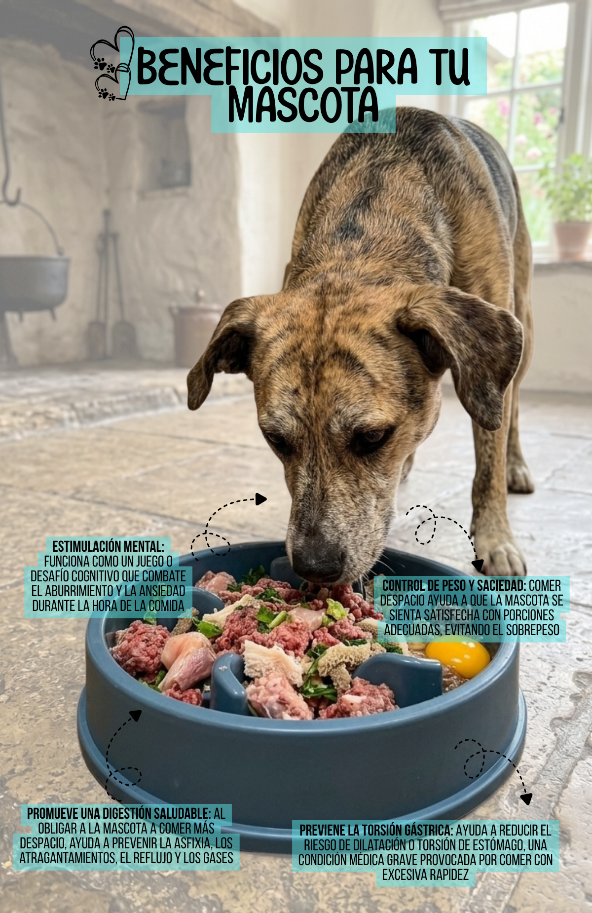 Plato Antiansiedad Estrellitas Comedero Lento Mascotas