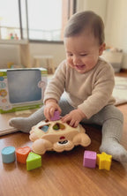 Juguete Didactico Encaje Cangrejo Bloques Figuras Bebes 18m+